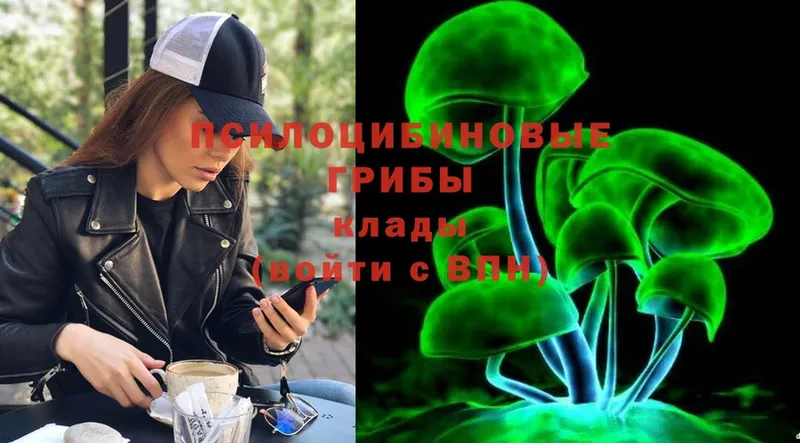 где можно купить наркотик  Орёл  OMG ССЫЛКА  Псилоцибиновые грибы Magic Shrooms 